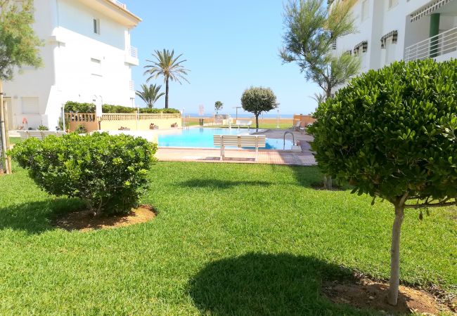 Apartamento en Denia - 0763 Ap. Talima bajo 2 dorm.