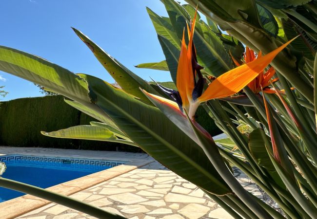 Villa en Denia - 0533 Villa Laura Poblets Villa en Denia - 0533 Villa Laura Poblets