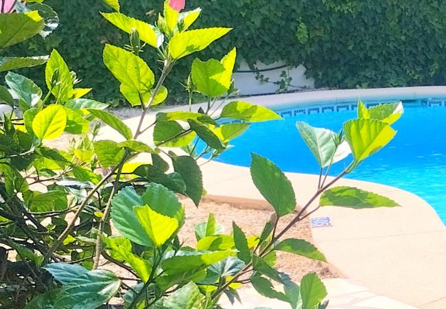 Villa en Beniarbeig - 0687 Villa Benicadims Jazmin Villa en Beniarbeig - 0687 Villa Benicadims Jazmin