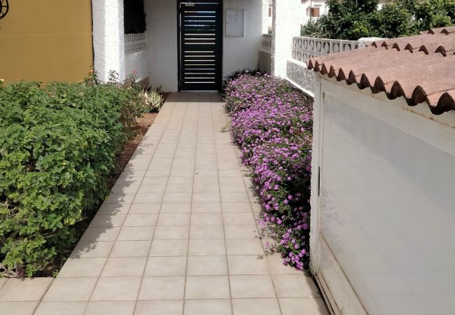 Apartamento en Denia - 0780 Bungalow Alfar I Poblets  Apartamento en Denia - 0780 Bungalow Alfar I Poblets