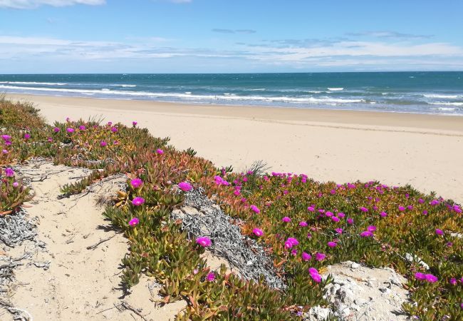 Villa in Denia - 0600 villa Montenegro mit Schwimmbad Villa in Denia - 0600 villa Montenegro mit Schwimmbad