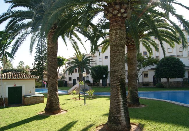 Apartment in Javea / Xàbia - 0270 ap. La Isla with 1 bedroom Apartment in Javea / Xàbia - 0270 ap. La Isla with 1 bedroom
